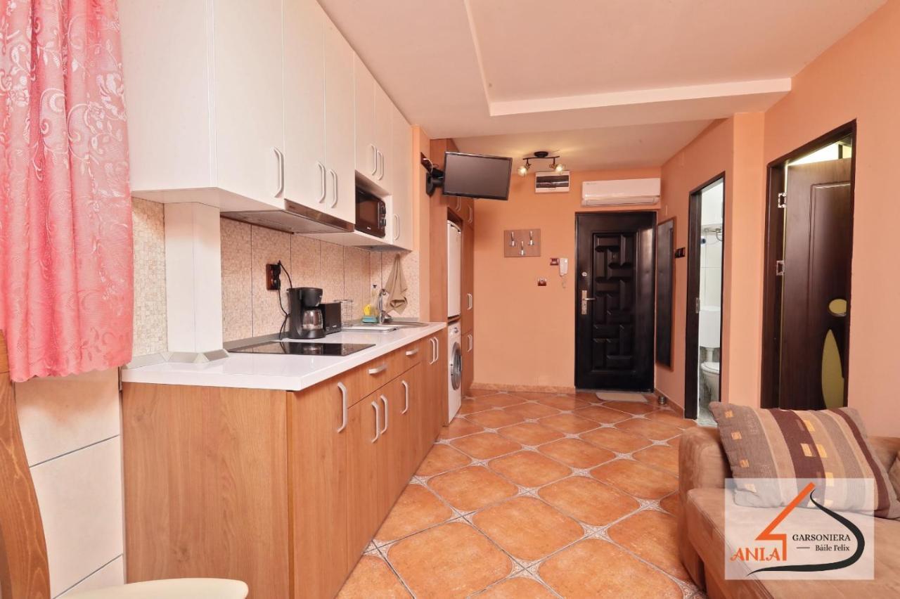 Garsoniera Ania Baile Felix Apartment Екстериор снимка